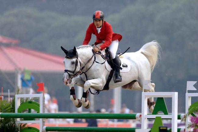 中国马术巡回赛