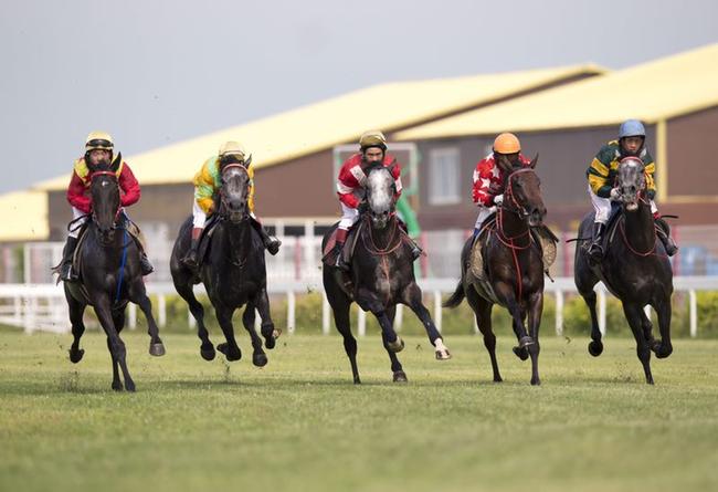 新浪直播大谦世界明星马主赛