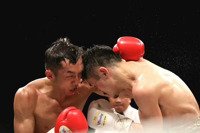 洛马琴科VS里贡多