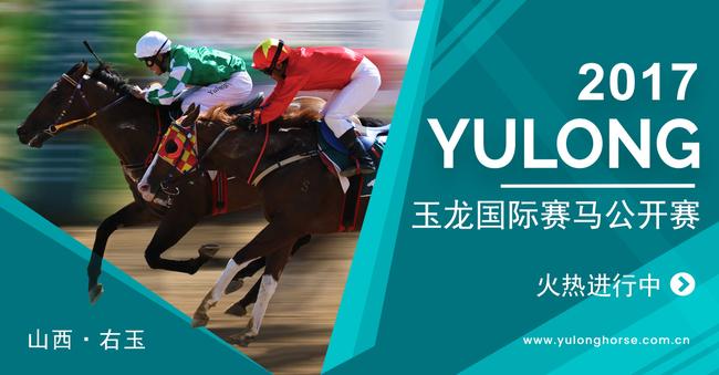 玉龙国际赛马公开赛