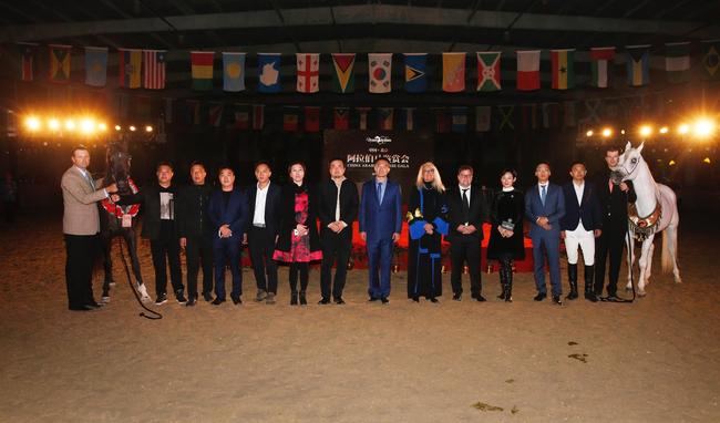 阿拉伯马鉴赏会