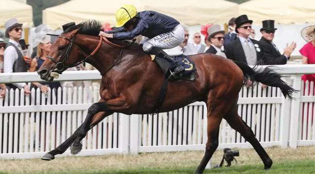 三英国马并列世界最佳赛马排名第一