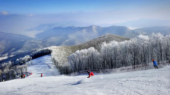 新浪杯高山滑雪公开赛12月15日松花湖站报名开启 手机新浪网 新浪杯高山滑雪公开赛12月15日松花湖站报名开启 手机新浪网