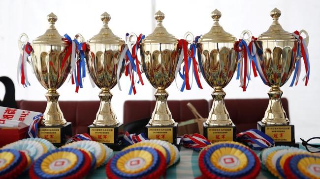 北京马协冠军杯