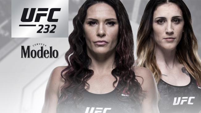 辛佳诺将在UFC232中升重对决安德森