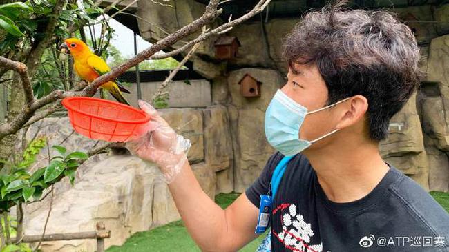 张之臻透露疫情期训练生活 赛事重启后继续冲百