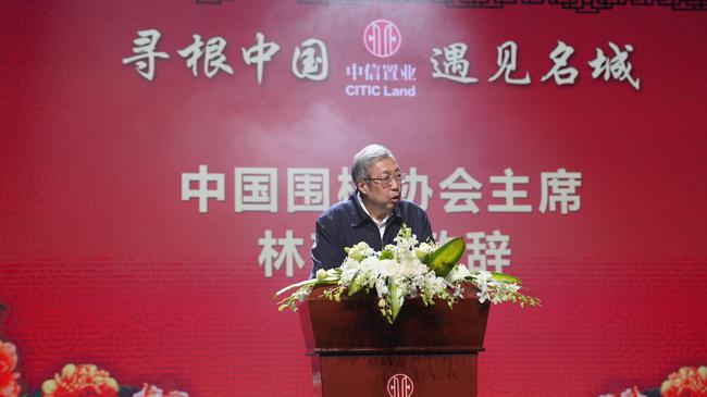 中国围棋协会主席林建超出席开幕式并致辞
