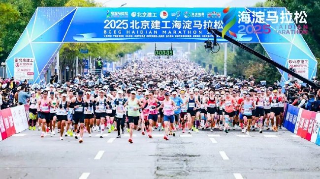 bob网登录网址生态数据仪表盘