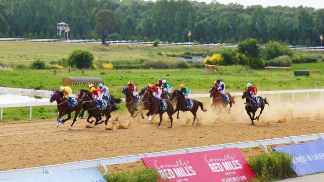 玉龙国际赛马公开赛