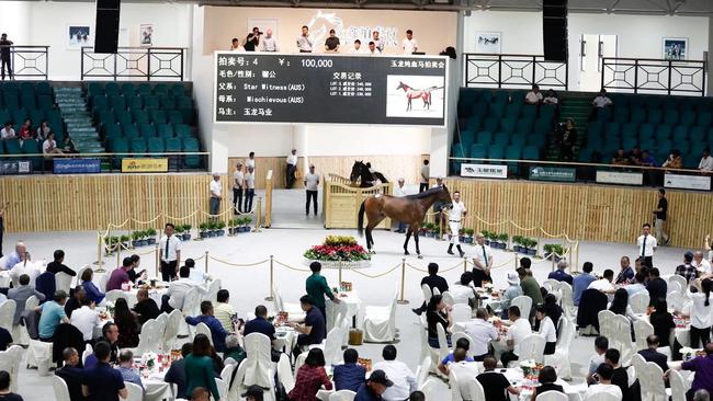 本周五玉龙秋季拍卖会华丽开槌！