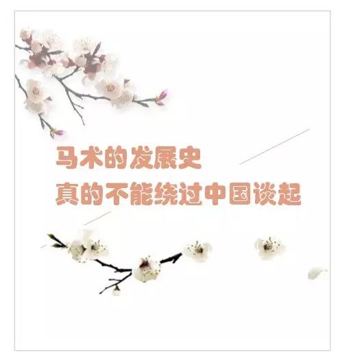 马术的发展史，真的不能绕过中国谈起