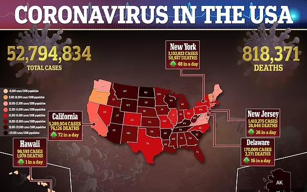 美国的疫情数据