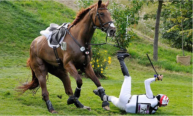 会摔马才是好骑手学会安全落马的几条建议