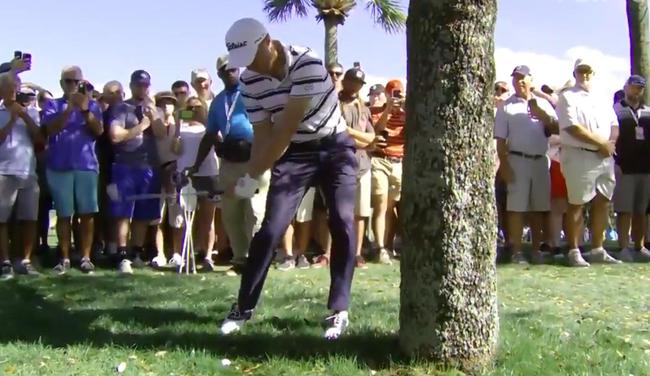 托马斯首轮树下救球