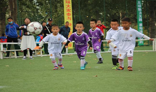 石头教练与希望之星张晨的足球故事