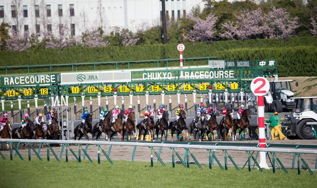高松宫纪念赛