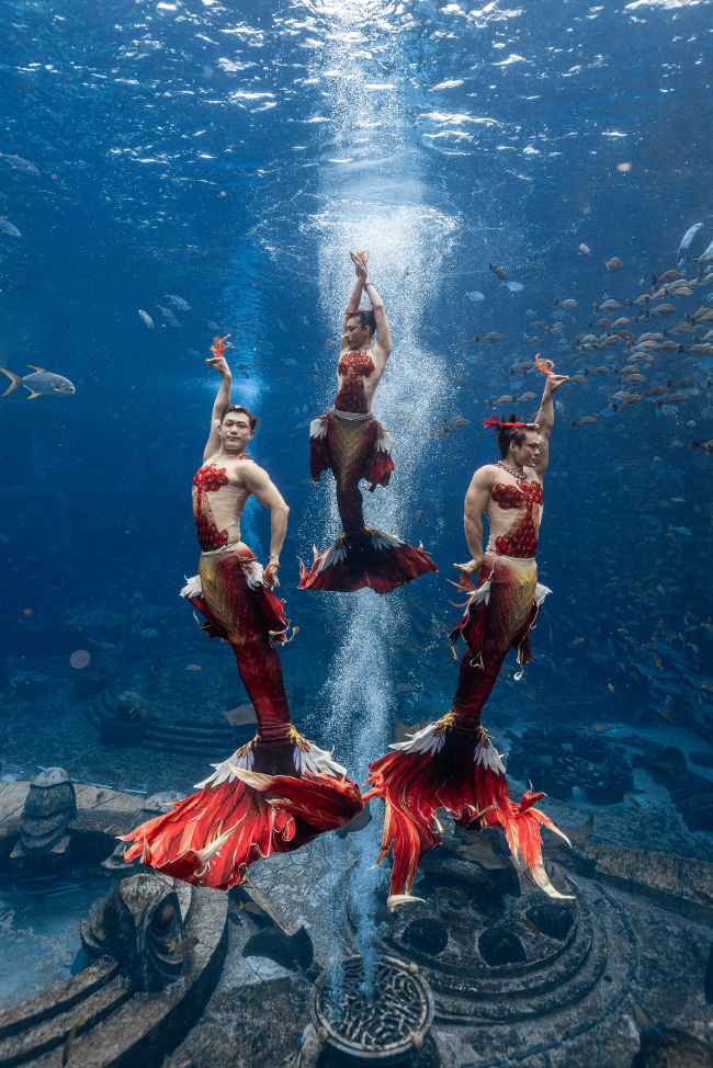 2024年美人魚亞洲盃賽 中國隊《鳳鳴朝陽》