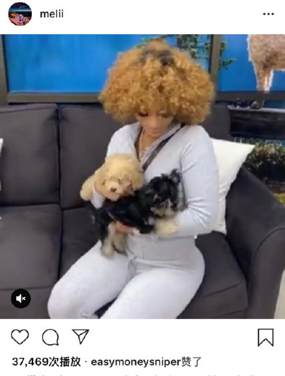 专一的杜小帅!养伤期间疯狂点赞嫩模 全都是魔鬼身材