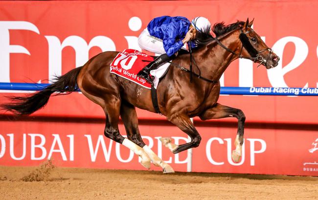 2019迪拜世界杯赛马日