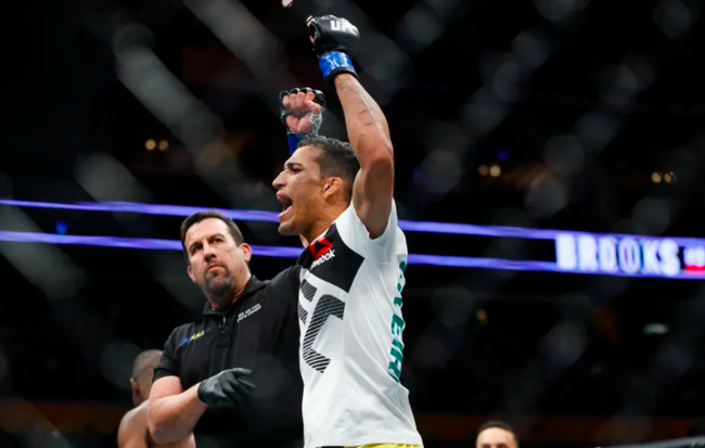 奥利维拉击败钱德勒我唯一要做的就是击中他