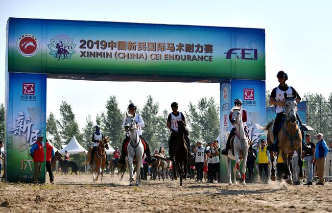 2019中国新民国际马术耐力赛
