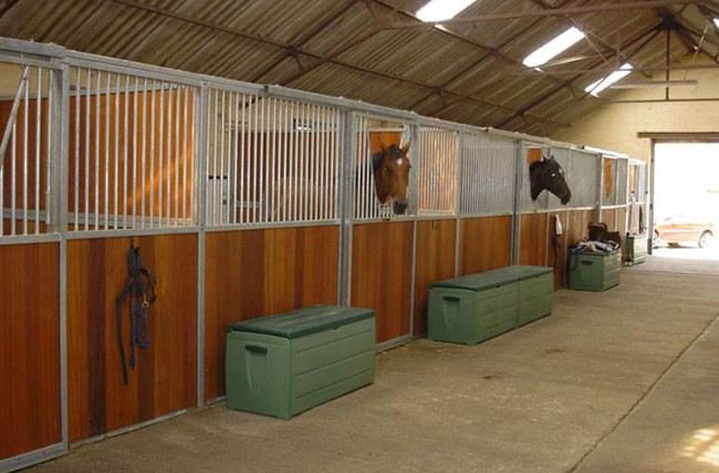 清扫马房能消耗多少卡路里?_综合体育_新浪竞技风暴_新浪网