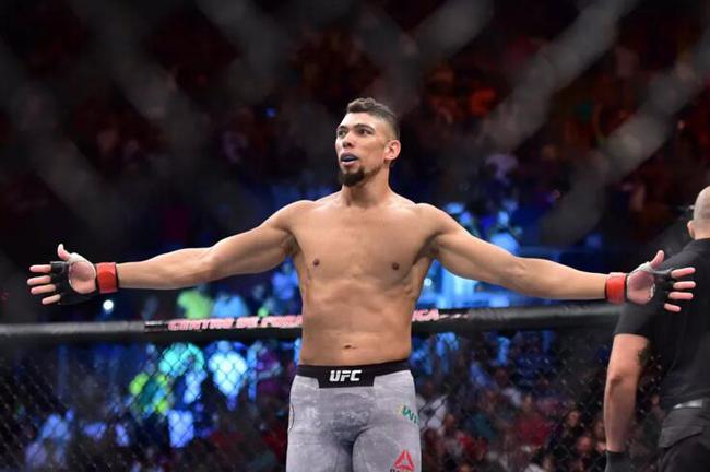 巴西新星沃克尔取代圣普吕ufc235对阵西库诺夫