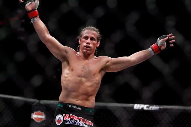 法贝尔将在UFC245迎战新秀彼得-彦