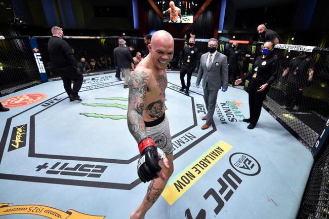 UFC格斗之夜184综述:史密斯三角绞降服克拉克_武术散打_新浪竞技风暴_新浪网