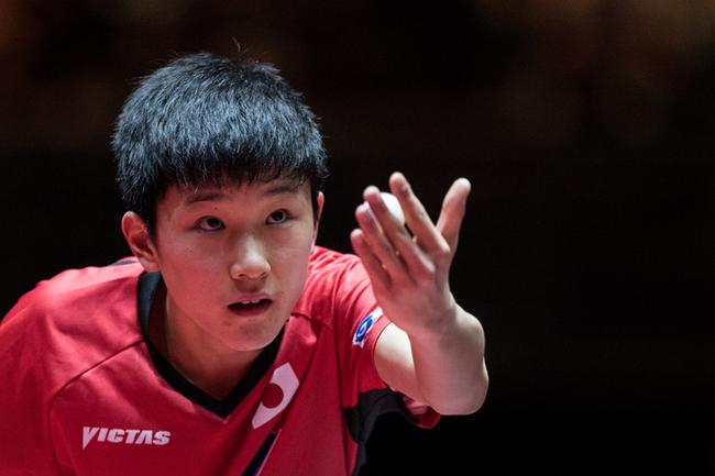 张本智和已经成了国乒最大的对手之一，而他才只有15岁