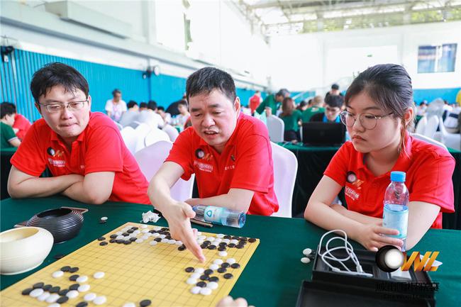 国内动态-围棋江湖
