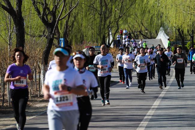 赏春吃草莓 2019唤新跑第36届昌平春季长跑大会鸣枪_跑步频道_新浪