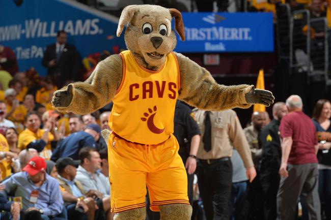 这要求从没见过月亮狗疯狂挑衅小洛如愿被揍