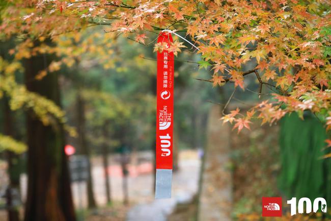TNF100莫干山打造亲子越野周末 诗和远方不期而遇