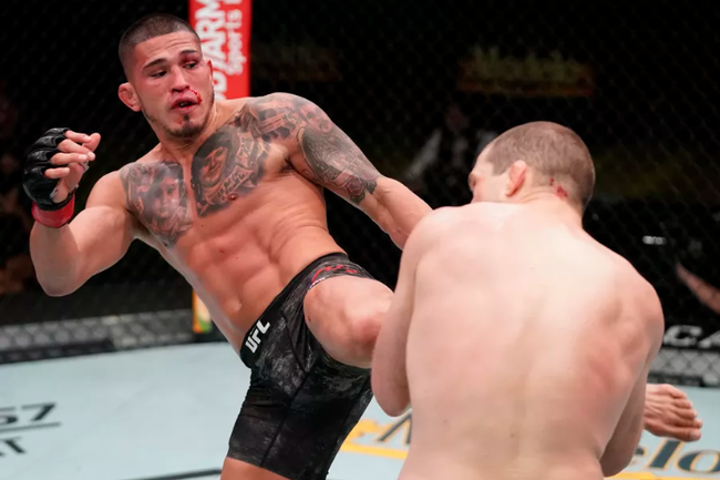 安东尼-佩提斯完成与ufc合同 下一步仍未决定