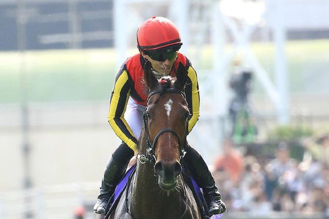 重生之秋华再现