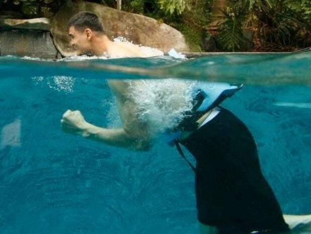 姚明在泳池训练