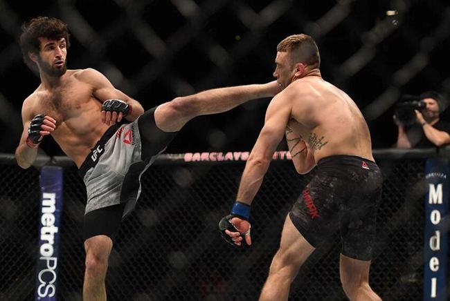 戴维斯顶替罗德里格兹 ufc228战俄新星扎比特