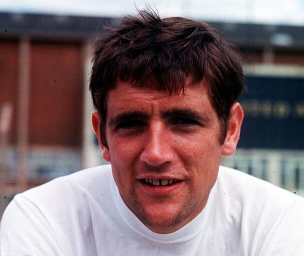 ŵ��-����