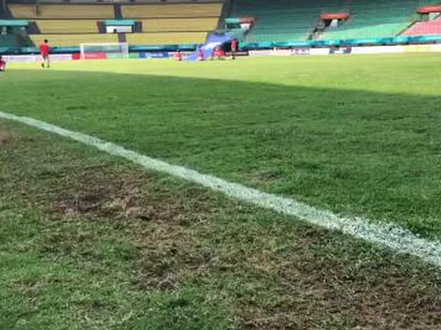 为了你,我好不容易加入了沙特国籍,现在能娶四