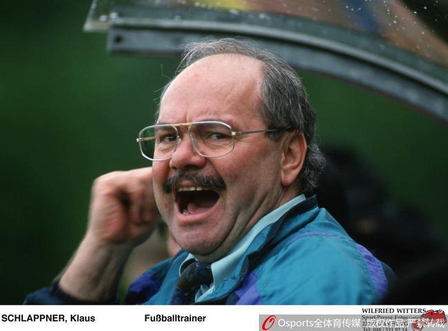 施拉普纳(资料图)