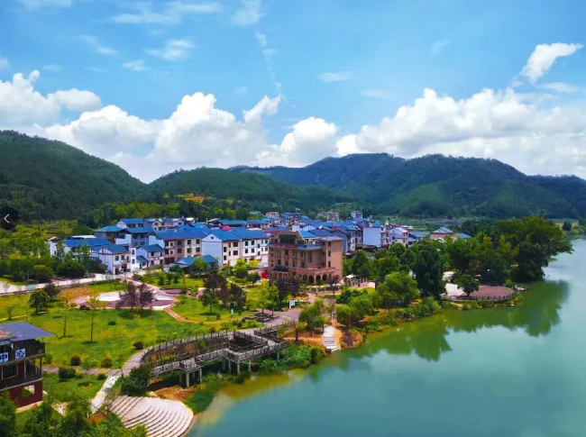 蛟湖村景