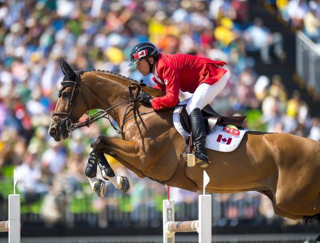 马术传奇放弃东京奥运会曾患脑肿瘤担忧疫情危险