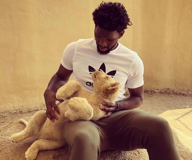 小狮子来报仇了！