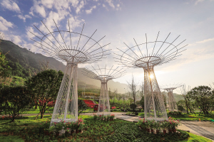 中国热城传奇珙县 2019龙茶花海山地马拉松5月开幕