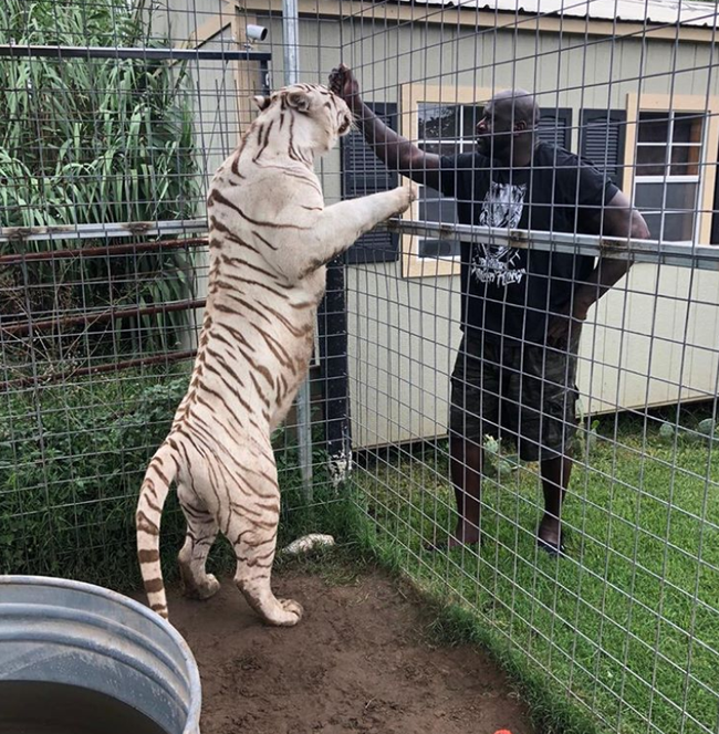 小伙子，出来单挑啊！