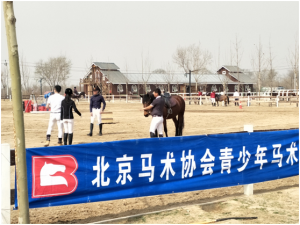 青少年马术水平认证等级考试