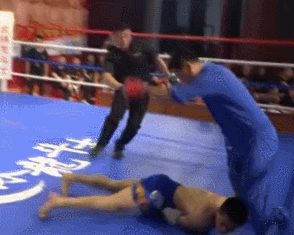 点穴高手”与“散打高手”对战。