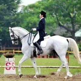 你知道马身上的装备叫什么名字么？