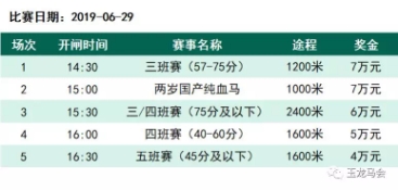 2019手表排行榜_2019女士手表排名前十女士手表品牌排行榜